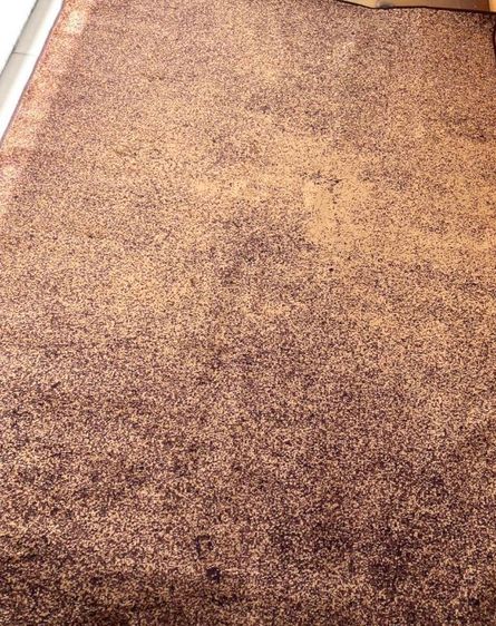 เลิกกิจการ ลดถุกมากๆพรมนำเข้าจากยุโรปขนแกะลด50 รูปที่ 13