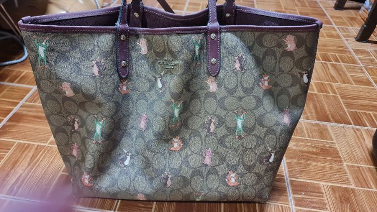 coach รูปที่ 8