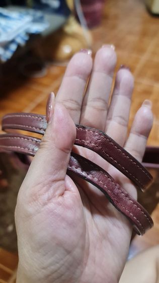 coach รูปที่ 9