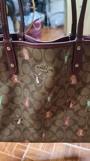 coach รูปที่ 2