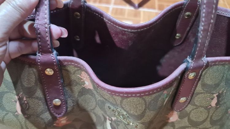 coach รูปที่ 6