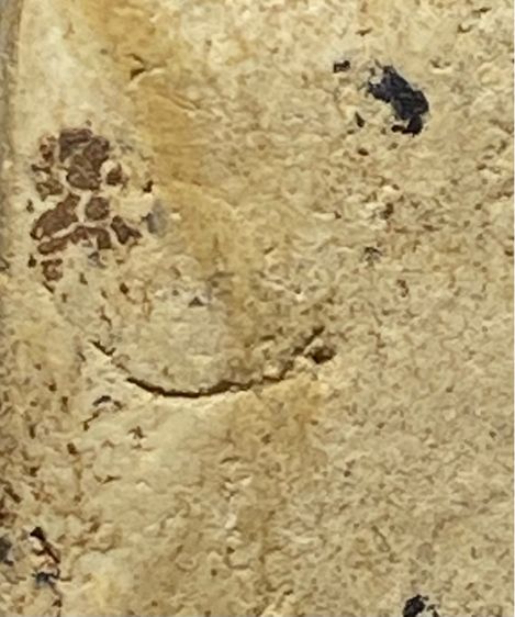 พระสมเด็จเกศไชโย พิมพ์เจ็ดชั้นหูประบ่า   P 293 รูปที่ 11