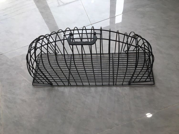 กรงเหล็กสีดำ รูปที่ 2