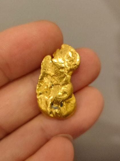 ทองธรรมชาติ จากแหล่งใน Alaska ยิ่งใหญ่ยิ่งหายากละราคาแพง ก้อนนี้ 12.82 กรัมครับ รูปที่ 5