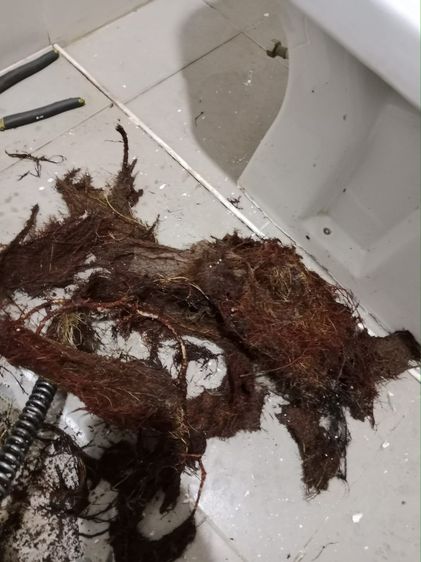 drain and toilet cloge unclogging all drain   รูปที่ 2