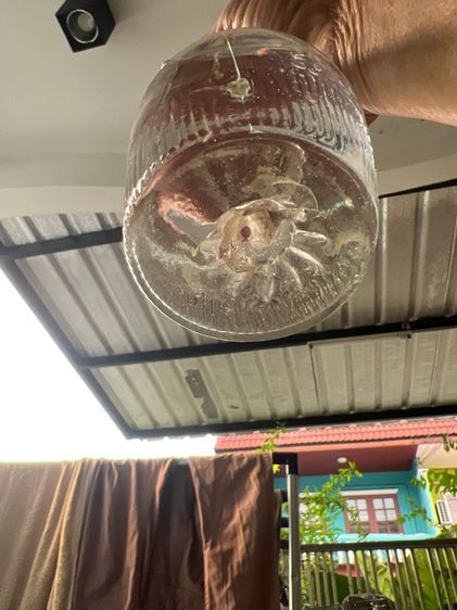 ขวดแก้วโบราณ รูปที่ 5