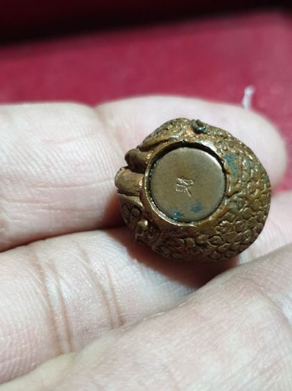 พระสังกัจจายน์"ปุ่กไฉ่เอี้ย" (พิมพ์ลูกอม) หลวงพ่อ(จีน) เย็นเต็ก วัดโพธิ์แมนคุณาราม  ปี 2545 ณ.ศาลเจ้าเปาเก็งเต็งนครปฐม  รูปที่ 6