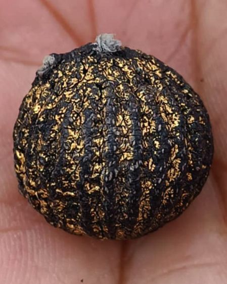 ลูกอมหลวงพ่อปลอด วัดในปากทะเล หูขาด ขนาดเกือบ 2 ซ.ม. รูปที่ 9