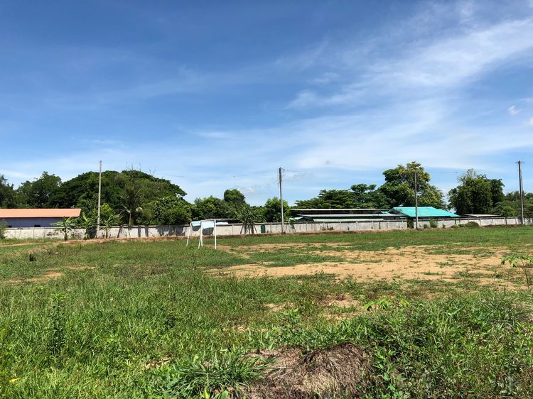 ขายที่ดิน 25 ไร่ อ.บ้านหมอ จ.สระบุรี รูปที่ 4