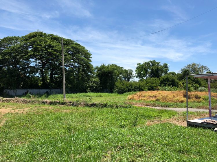 ขายที่ดิน 25 ไร่ อ.บ้านหมอ จ.สระบุรี รูปที่ 3