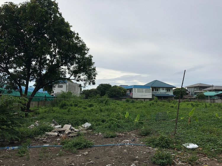 ขายที่ดิน บนถนนบรมราชชนนี 2 ไร่ 