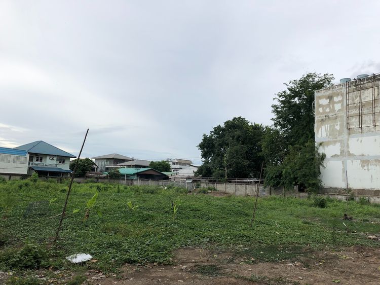 ขายที่ดิน บนถนนบรมราชชนนี 2 ไร่  รูปที่ 2