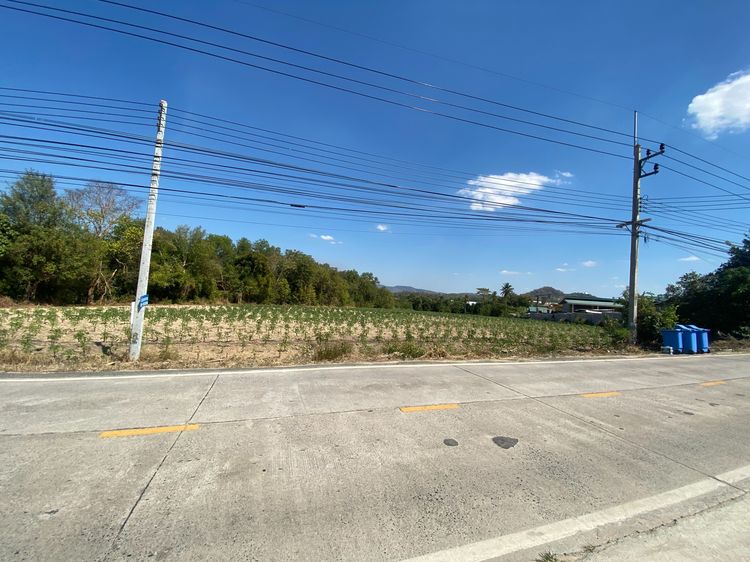 ขายที่ดิน อ.ศรีราชา จ.ชลบุรี 10 ไร่  รูปที่ 3