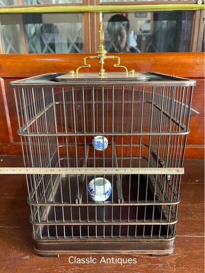 กรงนก สะสม รูปที่ 13