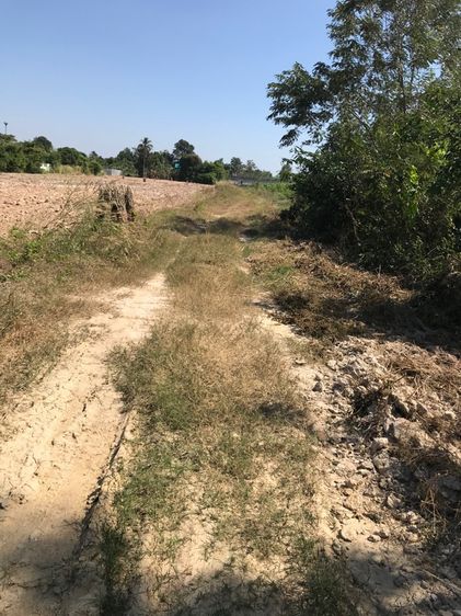 ขายที่ดิน 150 ตร.วา  อำเภอพนัสนิคม จังหวัดชลบุรี รูปที่ 3