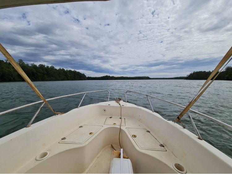 บริการให้เช่าเรือสปีดโบ้ท 22 ฟุต (ตกปลา,ตกหมึก) รูปที่ 12