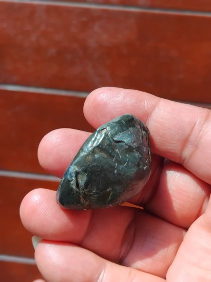 เบี้ยแก้ หลวงปู่บุญ วัดกลางบางแก้ว เบี้ยเปลือย มีจารมือทั้งลูก สีตะก้่วอมน้ำตาล ขนาดใหญ่ มีน้ำหนัก ปรอทไม่ตาย มีความเป็นธรรมชาติ ฝีมือการทำป รูปที่ 4