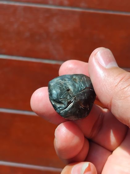 เบี้ยแก้ หลวงปู่บุญ วัดกลางบางแก้ว เบี้ยเปลือย มีจารมือทั้งลูก สีตะก้่วอมน้ำตาล ขนาดใหญ่ มีน้ำหนัก ปรอทไม่ตาย มีความเป็นธรรมชาติ ฝีมือการทำป รูปที่ 5