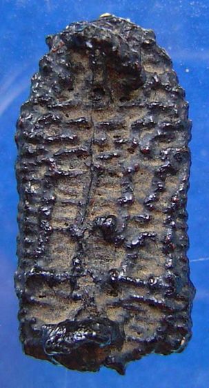 หลวงปู่ภู วัดอินทร์ พิมพ์อุ้มบาตร ถักเชือก ลงรักเก่า พร้อมตลับทองลงยา ลงหนังสือ The Art Of Siam คอลัมภ์พระเครื่องล้ำค่า  รูปที่ 8