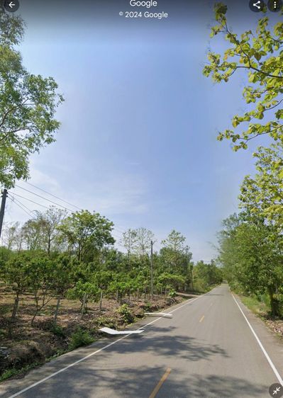 ไม่ใช่ ขายที่ดินสวย อ.แม่แตงเชียงใหม่ น้ำไม่ท่วม เนื้อที่ 19-3-36 ไร่ ราคา 14 ลบ.สนใจติดต่อ คุณปุ้ย 0899209893 รูปที่ 3