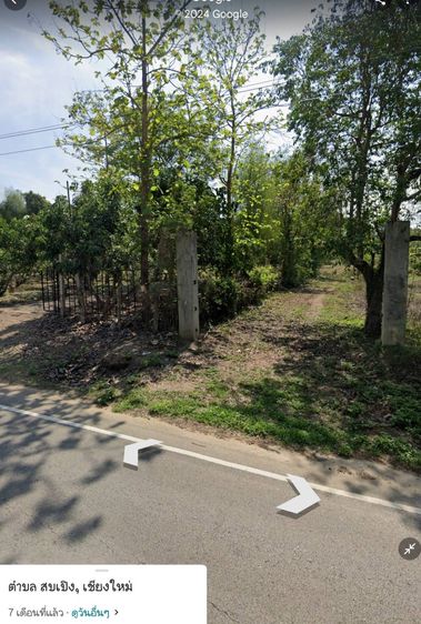 ไม่ใช่ ขายที่ดินสวย อ.แม่แตงเชียงใหม่ น้ำไม่ท่วม เนื้อที่ 19-3-36 ไร่ ราคา 14 ลบ.สนใจติดต่อ คุณปุ้ย 0899209893 รูปที่ 4