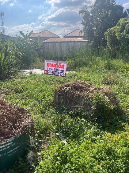 ขายถูกที่ดินซอยข้างหมู่บ้านตะวันทอง 2 ถนนเลียบคลองภาษีเจริญฝั่งใต้ หนองแขม 