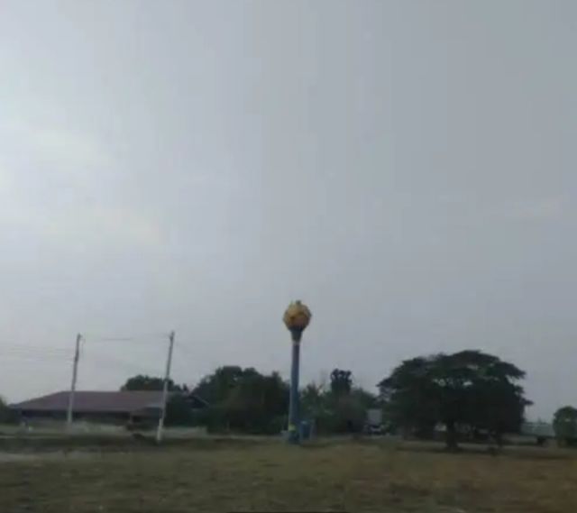 ที่ดิน 2 ไร่ มีอินทผลัม 24 ต้น รูปที่ 3