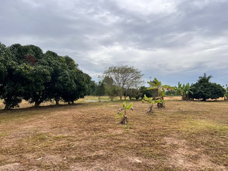 ที่ดิน(ถมแล้ว) สันทรายเชียงใหม่ ติดลำน้ำ วิวภูเขา ใกล้เมืองเดินทางสะดวก