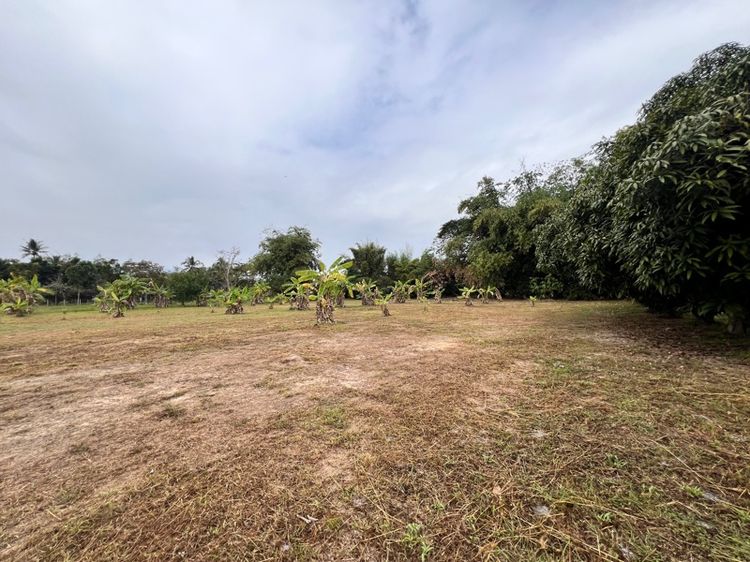 ที่ดิน(ถมแล้ว) สันทรายเชียงใหม่ ติดลำน้ำ วิวภูเขา ใกล้เมืองเดินทางสะดวก รูปที่ 4