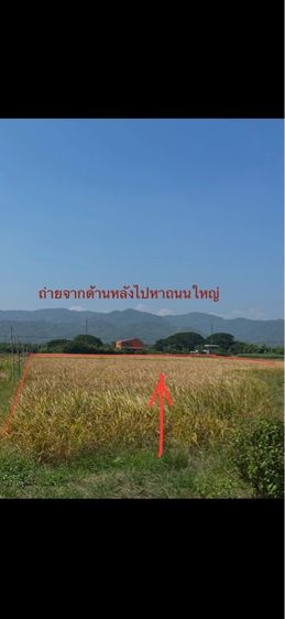 ขายที่ดินที่นาใกล้ติดถนน 7ไร่ 3งาน บ้านหัวนา บุ่งคล้า รูปที่ 2