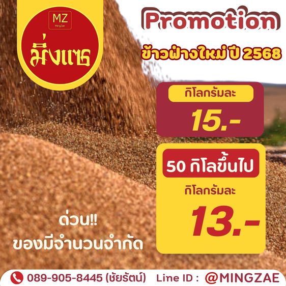 เมล็ดข้าวฟ่างแดง, เมล็ดข้าวฟ่างขาว สำหรับเพาะเชื้อเห็ด หรือเพาะปลูกและอาหารนก ประจำปี 2568 รูปที่ 2