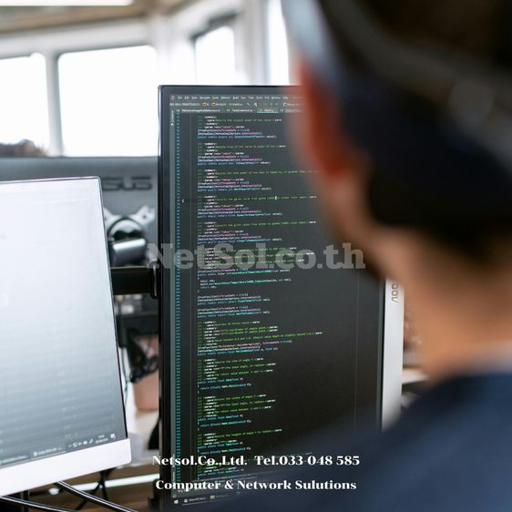 Netsol บริการ Onsite Support  จัดหาอุปกรณ์ไอที ระยอง 033-048585 รูปที่ 3