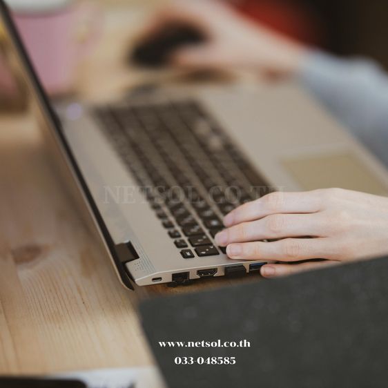 NetSol บริการช่างเทคนิคด้านไอที จัดหาสินค้าไอที นิคมอุตสาหกรรมมาบตาพุด ระยอง  รูปที่ 2