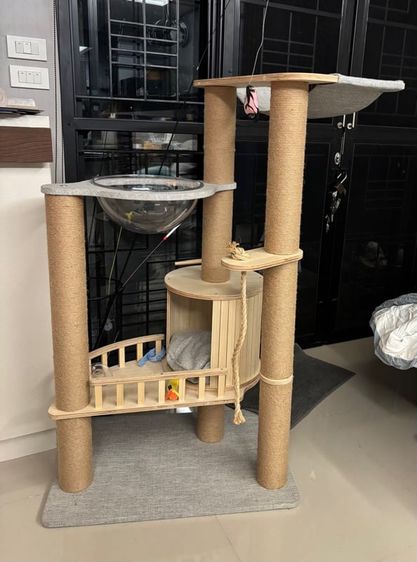 ส่งต่อ คอนโดแมว Petology รุ่น CD-06 คุณภาพสูง แข็งแรง ทนทาน ใช้งานได้นาน