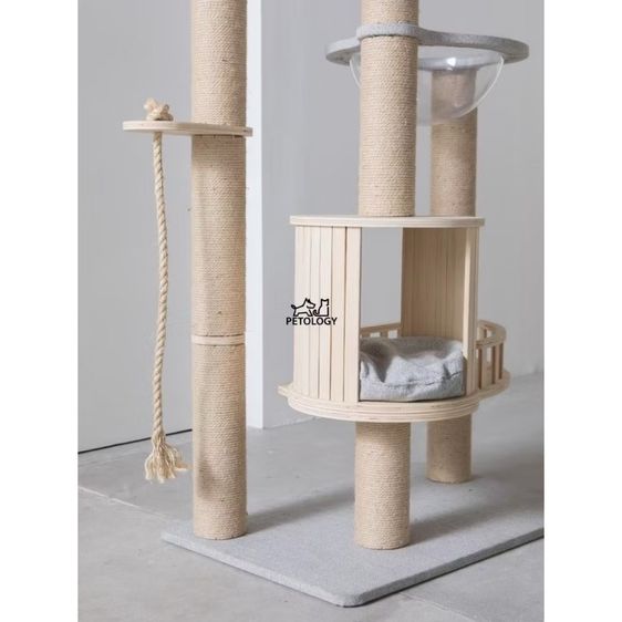 ส่งต่อ คอนโดแมว Petology รุ่น CD-06 คุณภาพสูง แข็งแรง ทนทาน ใช้งานได้นาน รูปที่ 11