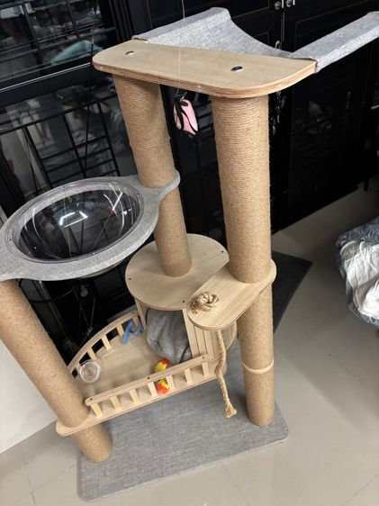 ส่งต่อ คอนโดแมว Petology รุ่น CD-06 คุณภาพสูง แข็งแรง ทนทาน ใช้งานได้นาน รูปที่ 2