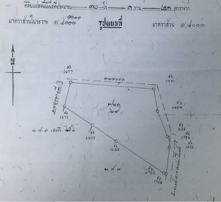 ไม่ใช่ ขายที่ดิน 30-1-21ไร่ ประชาอุทิศ90 พื้นที่สีเหลือง รูปที่ 3