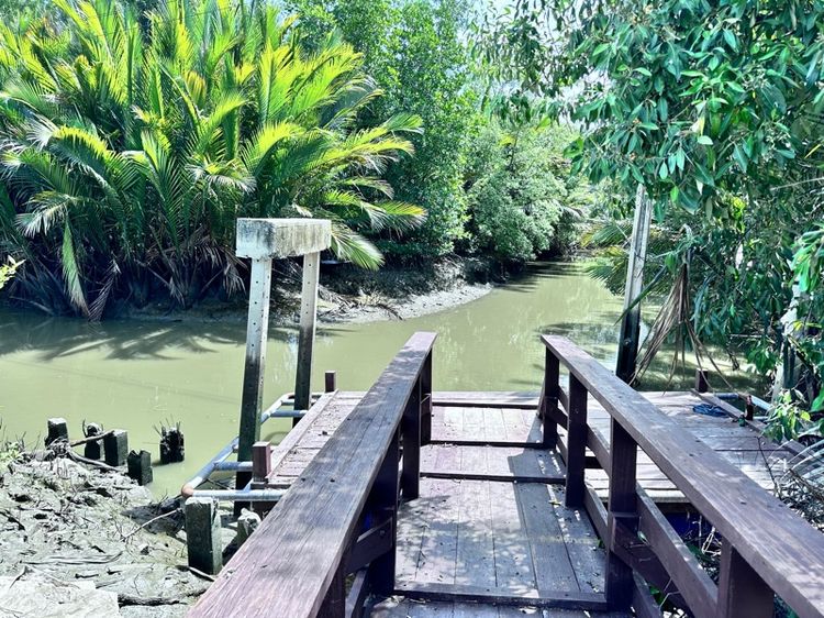 ขายที่ดิน 30-1-21ไร่ ประชาอุทิศ90 พื้นที่สีเหลือง