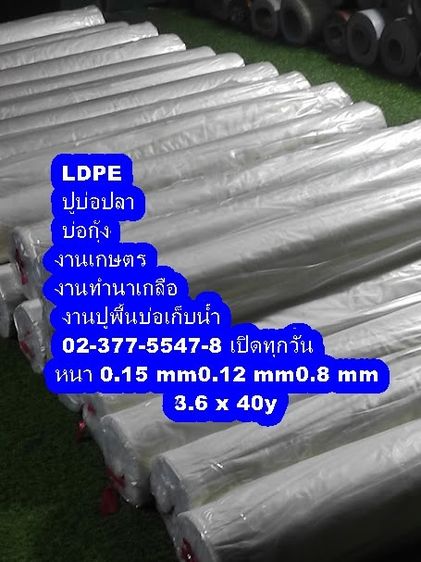 พลาสติกปูบ่อ LDPE 0989374098 สต๊อกเเน่นพร้อมส่ง  รูปที่ 18