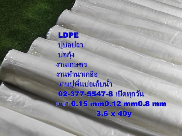 พลาสติกปูบ่อ LDPE 0989374098 สต๊อกเเน่นพร้อมส่ง  รูปที่ 4