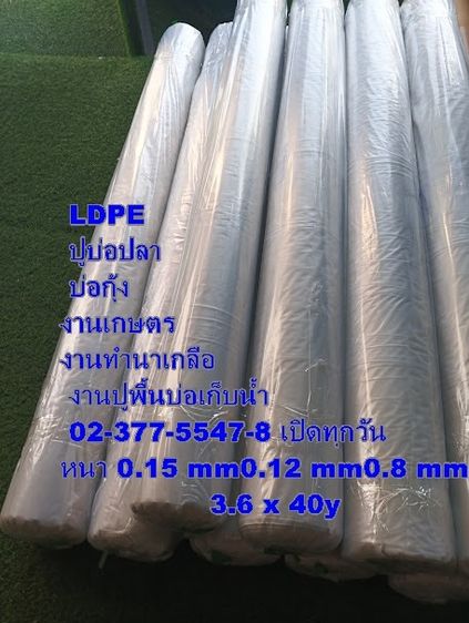 พลาสติกปูบ่อ LDPE 0989374098 สต๊อกเเน่นพร้อมส่ง  รูปที่ 15