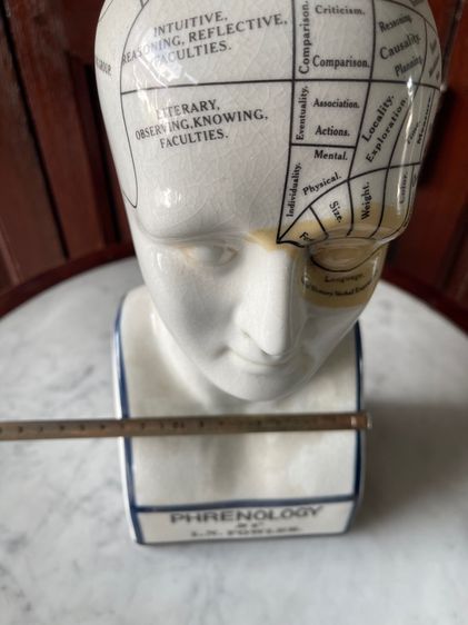 รูปปั้น กระเบื้อง PHRENOLOGY สะสม รูปที่ 10