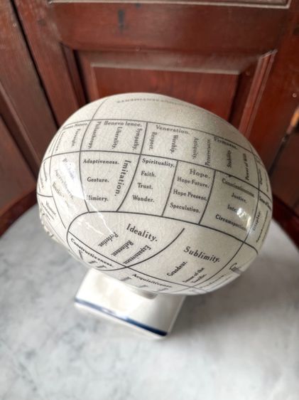 รูปปั้น กระเบื้อง PHRENOLOGY สะสม รูปที่ 7