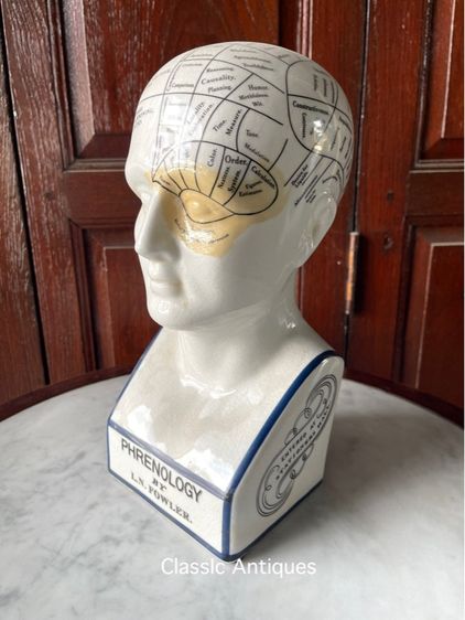 รูปปั้น กระเบื้อง PHRENOLOGY สะสม รูปที่ 8