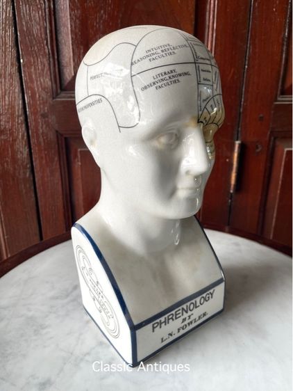รูปปั้น กระเบื้อง PHRENOLOGY สะสม รูปที่ 2