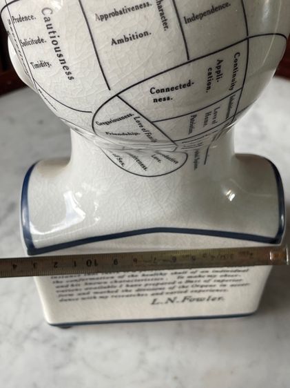 รูปปั้น กระเบื้อง PHRENOLOGY สะสม รูปที่ 12