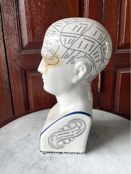 รูปปั้น กระเบื้อง PHRENOLOGY สะสม รูปที่ 6