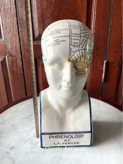 รูปปั้น กระเบื้อง PHRENOLOGY สะสม รูปที่ 9