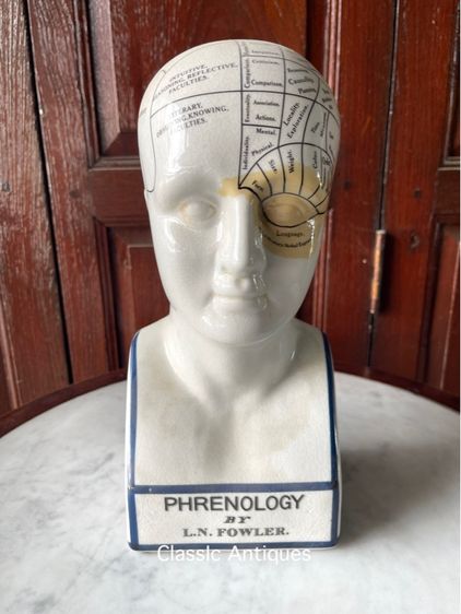 รูปปั้น กระเบื้อง PHRENOLOGY สะสม