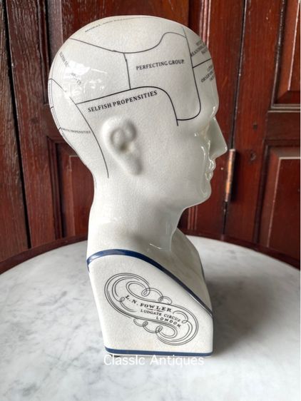 รูปปั้น กระเบื้อง PHRENOLOGY สะสม รูปที่ 3